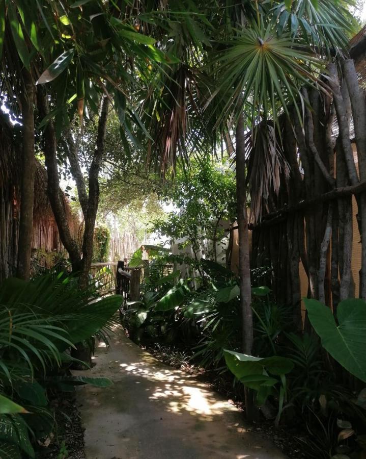 Cozy Room Near The Beach, Party Zone Tulum Bagian luar foto